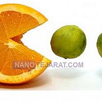 فروش اسانس برگاموت چایی پودرکاکائو روغن CBS زایلیتول سوربیتول مونو سدیم گلوتامات فروش اسانس برگاموت چایی پودرکاکائو روغن CBS زایلیتول سوربیتول مونو سدیم گلوتامات